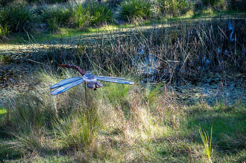 Eurobodalla Botanic Gardens