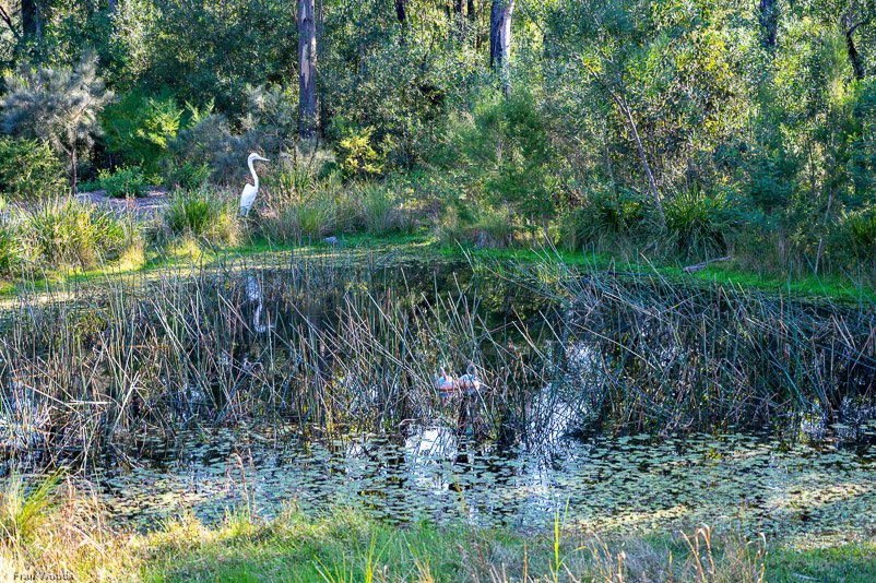 Eurobodalla Botanic Gardens