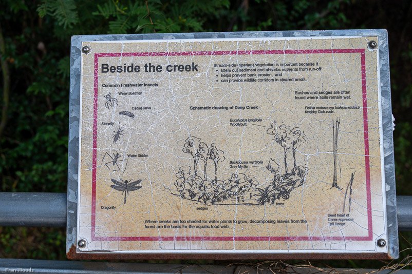 Eurobodalla Botanic Gardens