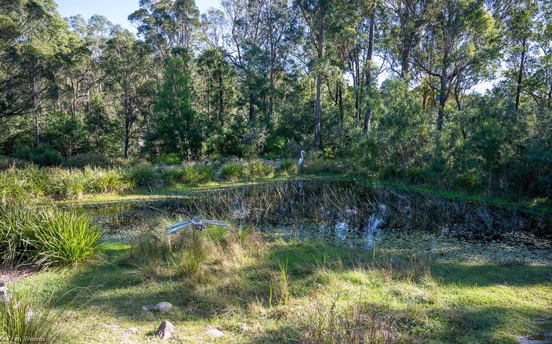 Eurobodalla Botanic Gardens