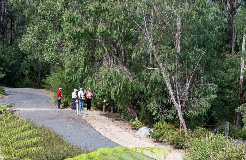 Eurobodalla Botanic Gardens