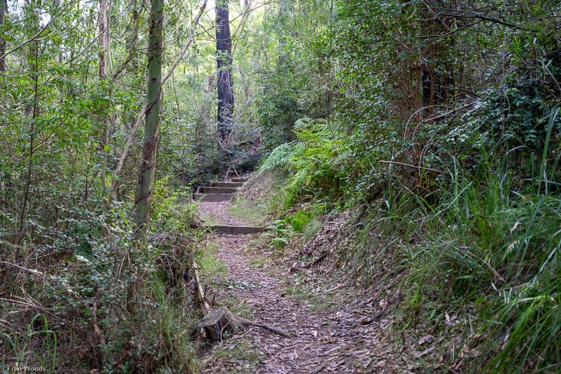 Eurobodalla Botanic Gardens