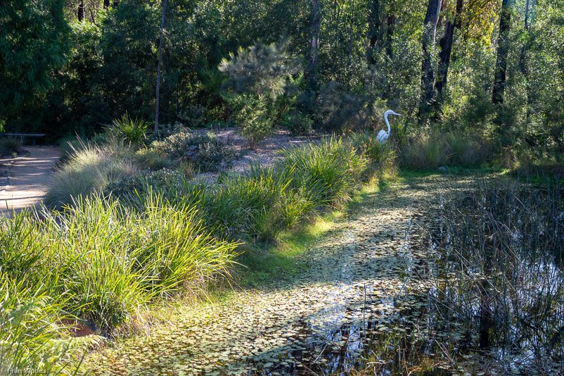 Eurobodalla Botanic Gardens