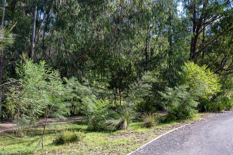 Eurobodalla Botanic Gardens