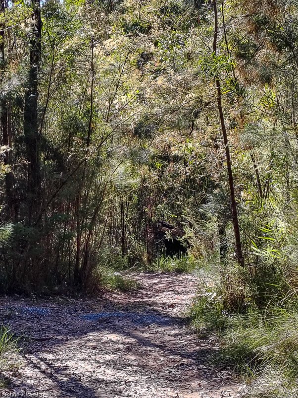 Eurobodalla Botanic Gardens