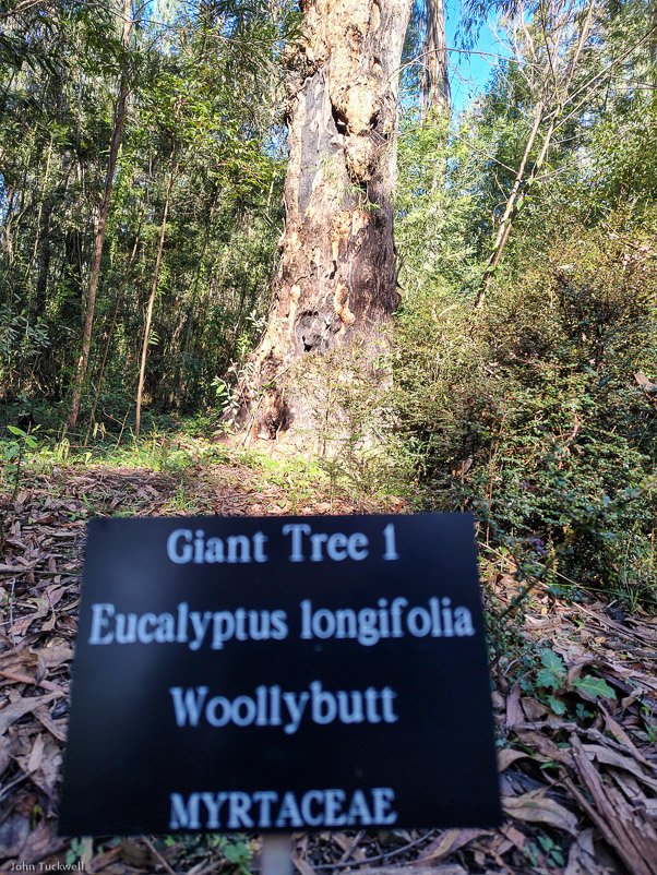 Eurobodalla Botanic Gardens