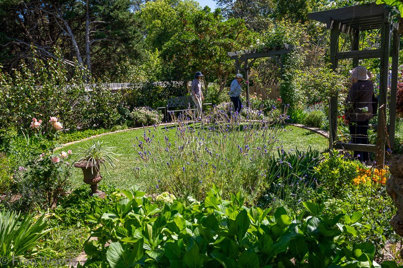Beautiful garden 1