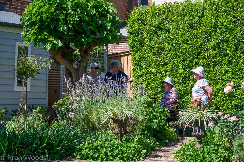 Beautiful garden 1