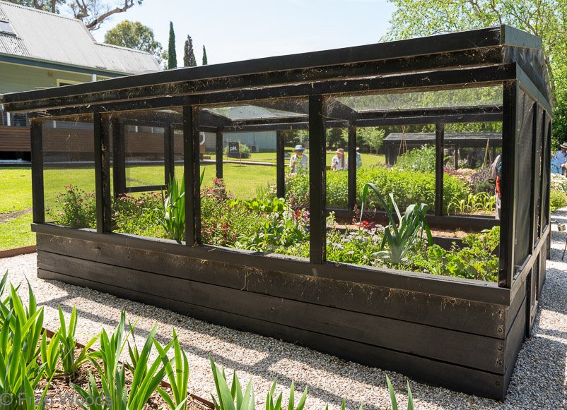 Garden 5
