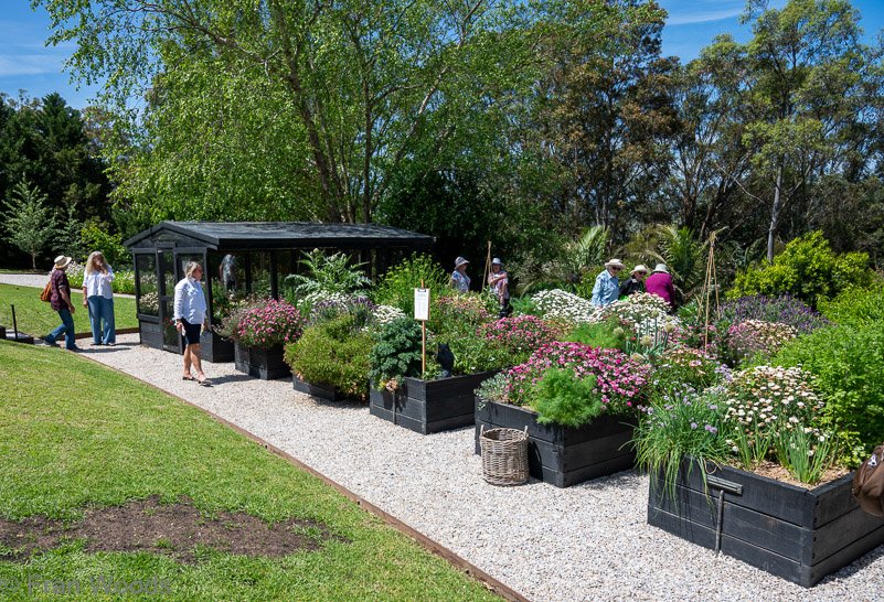 Garden 5