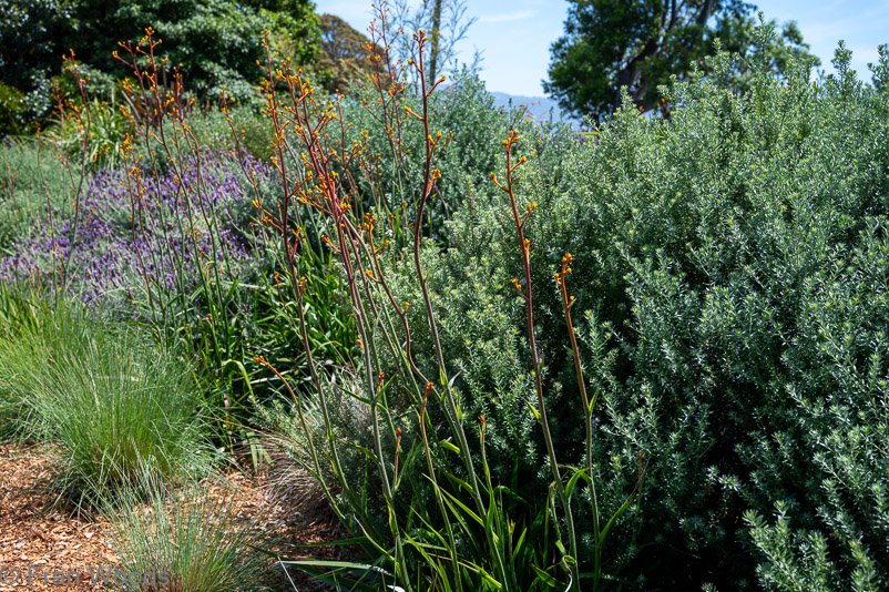 Bio garden at garden 5