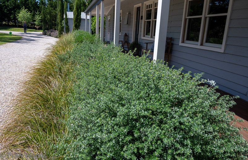 The porch garden at garden 5