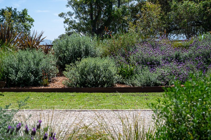 Bio garden at garden 5