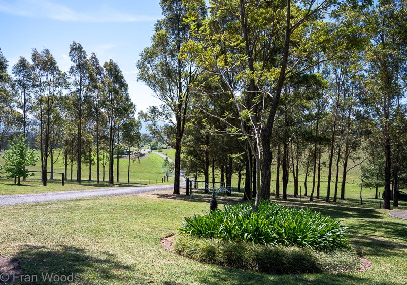 Garden 4 view down hill to entrance
