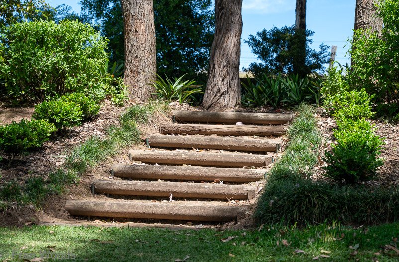 Garden steps at garden 4