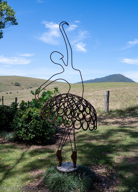Horseshoe ballerina at garden 4