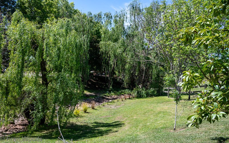 Garden 3 views