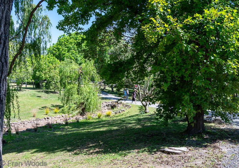 Garden 3 views