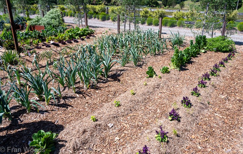 Garden 3 views