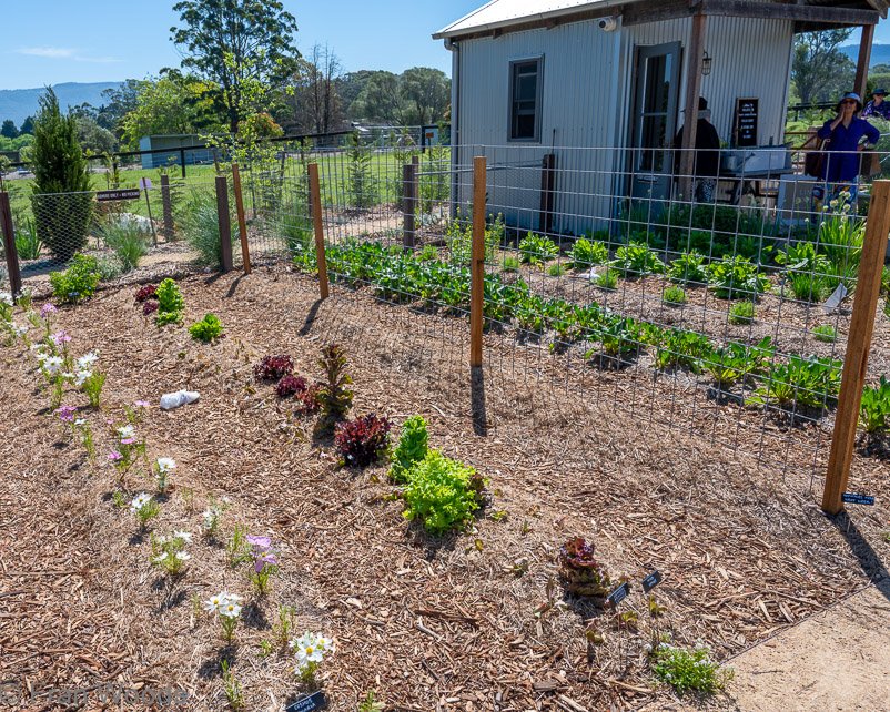 Garden 3 views