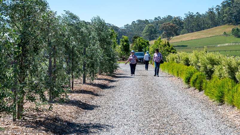Walking the walk at garden 3