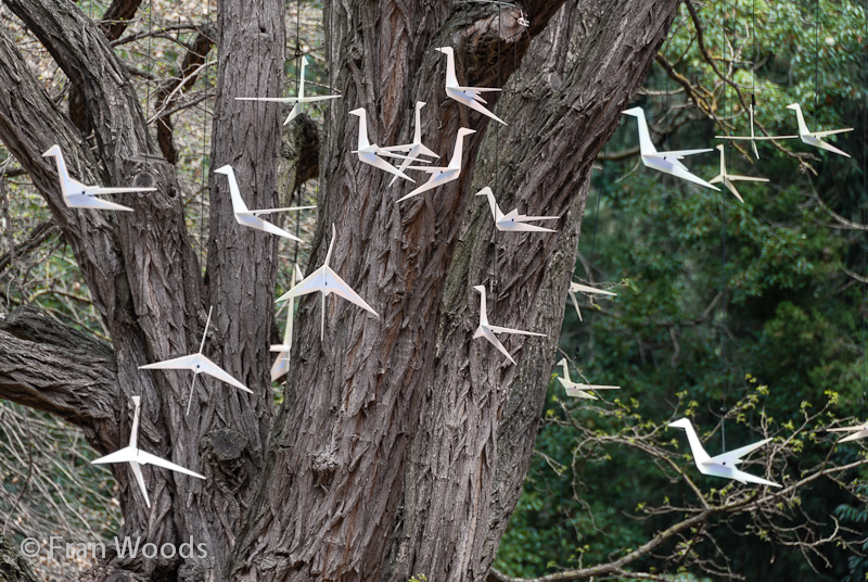 Bird sculpture hanging from old tree along Rhododendron Walk.